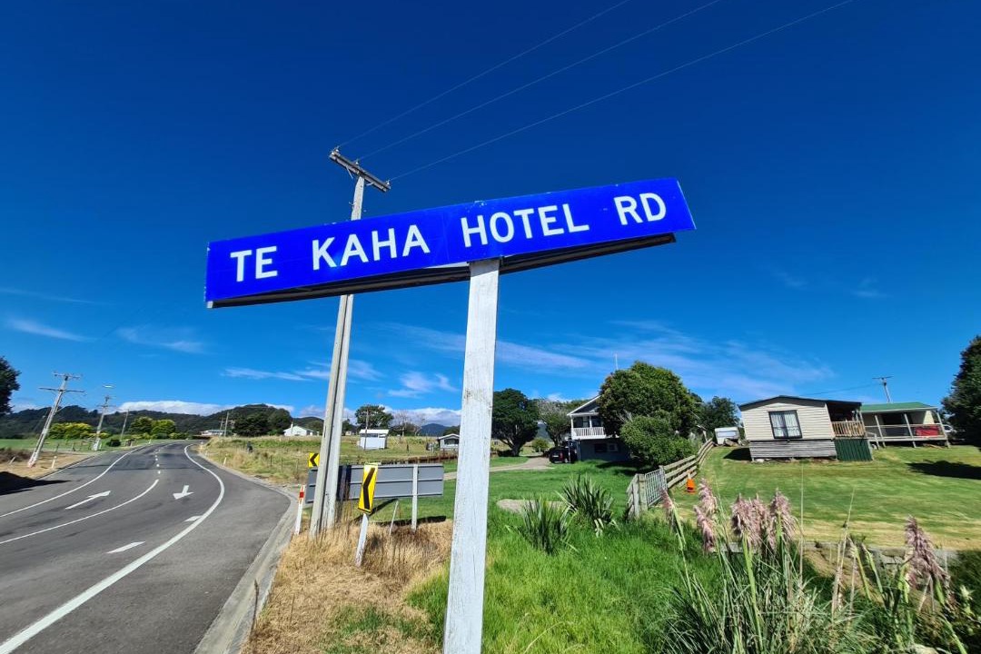Photo of Others in Te Kaha