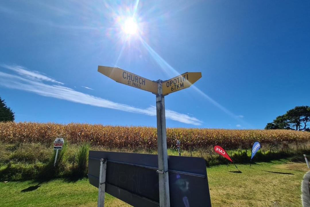 Photo of Others in Te Kaha