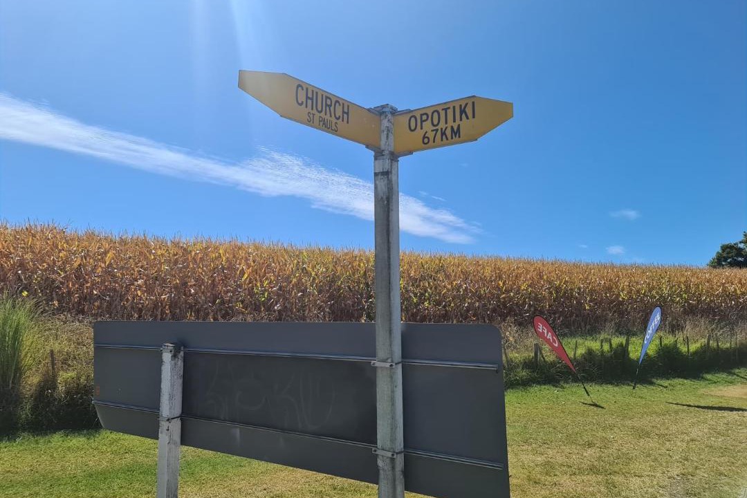 Photo of Others in Te Kaha