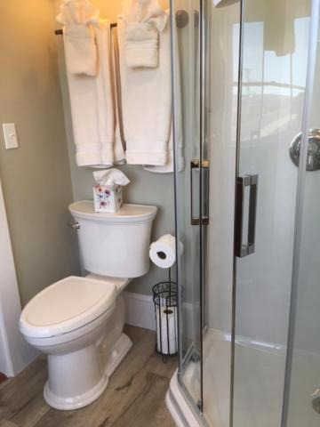 Photo of Others in Rockport