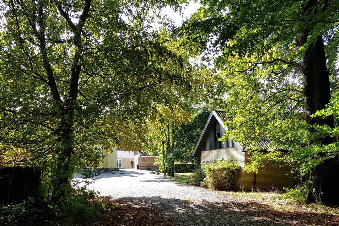 Photo of Others in Torrig