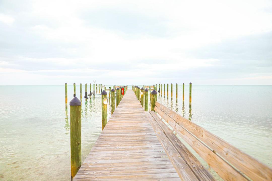 Photo of Others in Islamorada