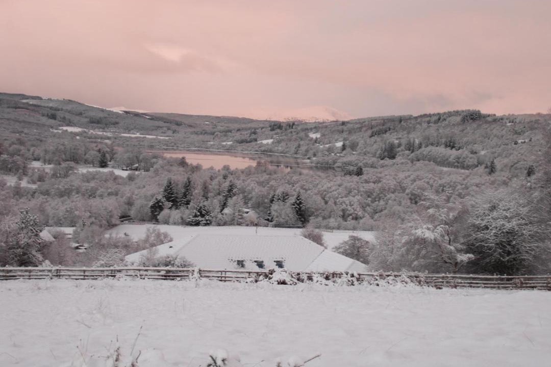 Photo of Others in Balnain