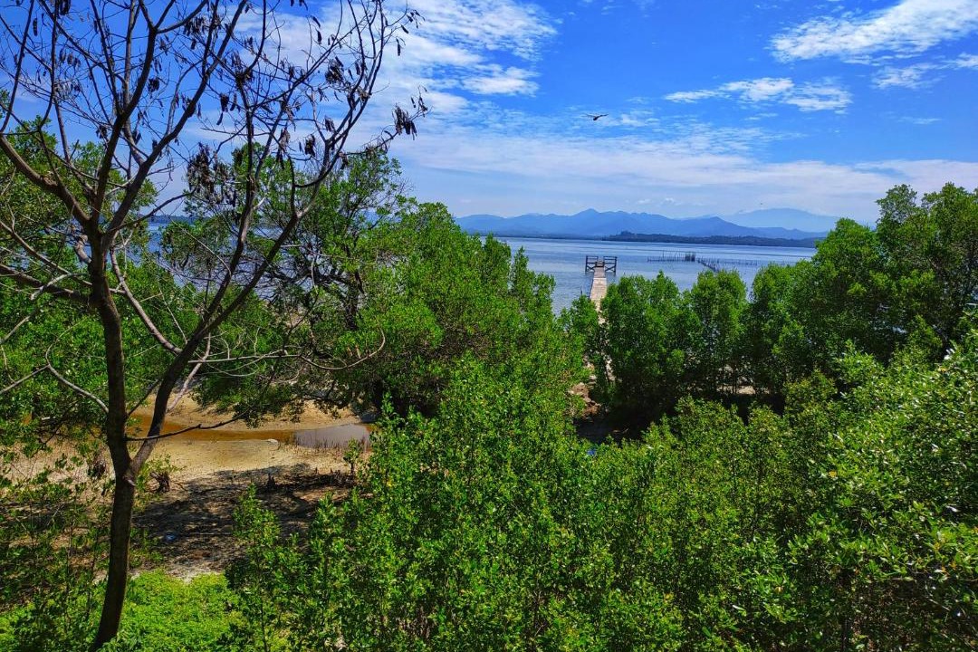 Photo of Outdoor in Gowa