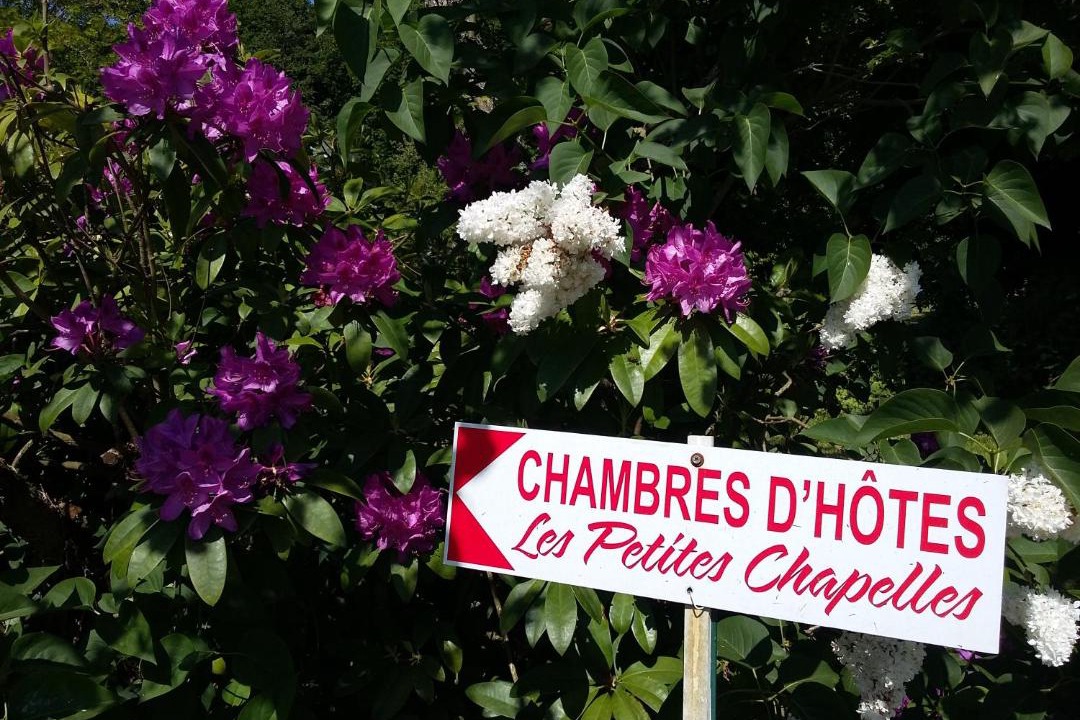 Photo of Others in Saint-Pierre-de-Plesguen