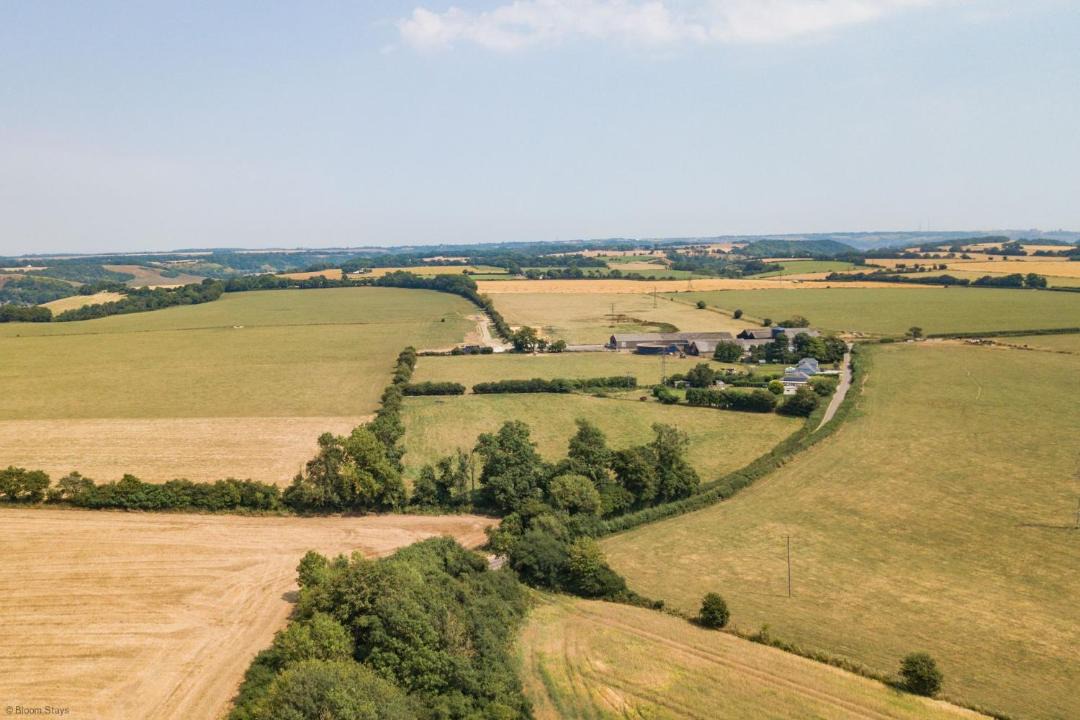 Photo of Others in Folkestone