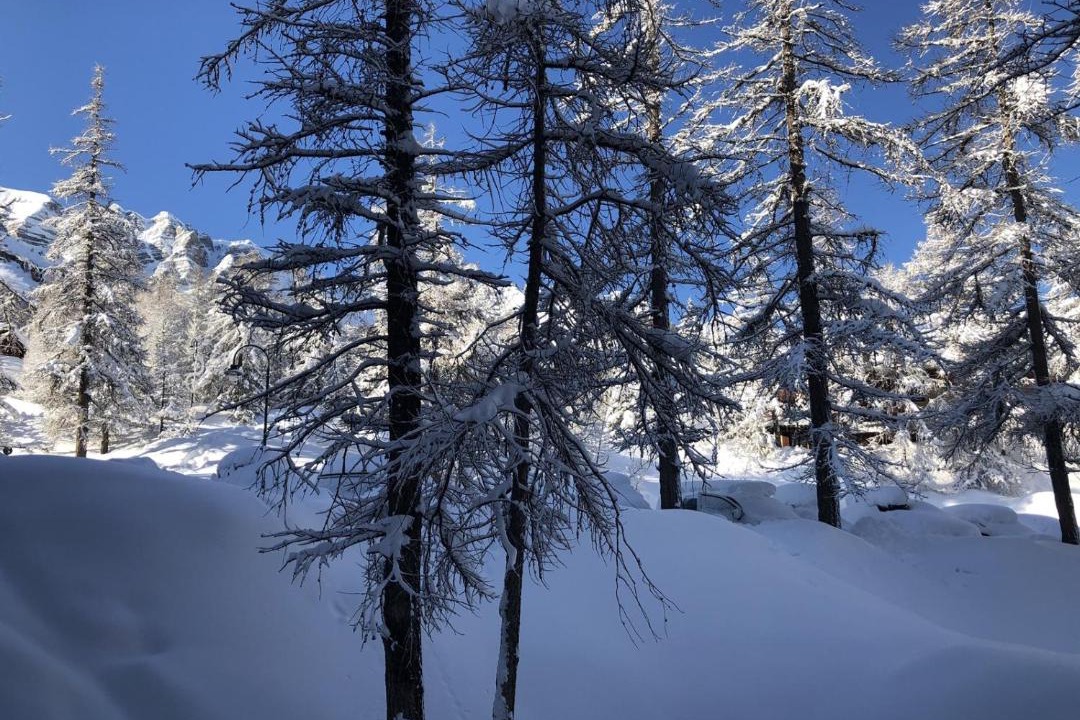 Photo of Others in Les Claux