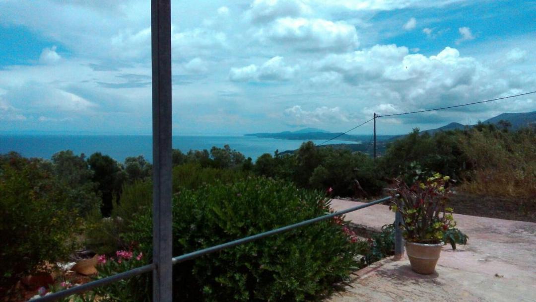 Photo of Others in Elation