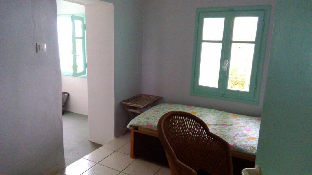 Photo of Others in Elation