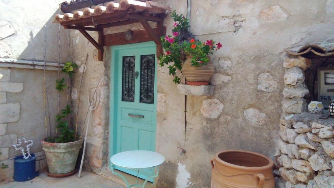 Photo of Others in Elation