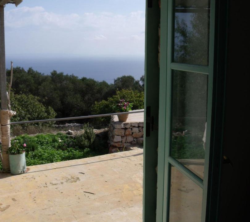 Photo of Others in Elation