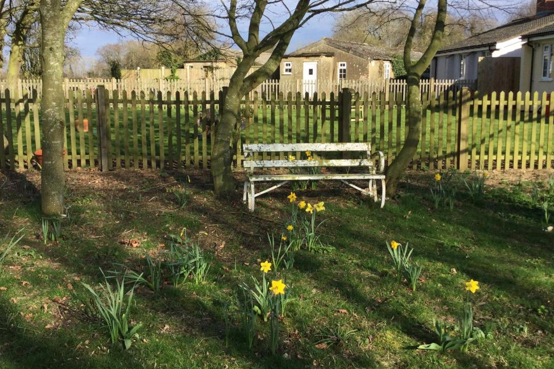 Photo of Others in East Dereham