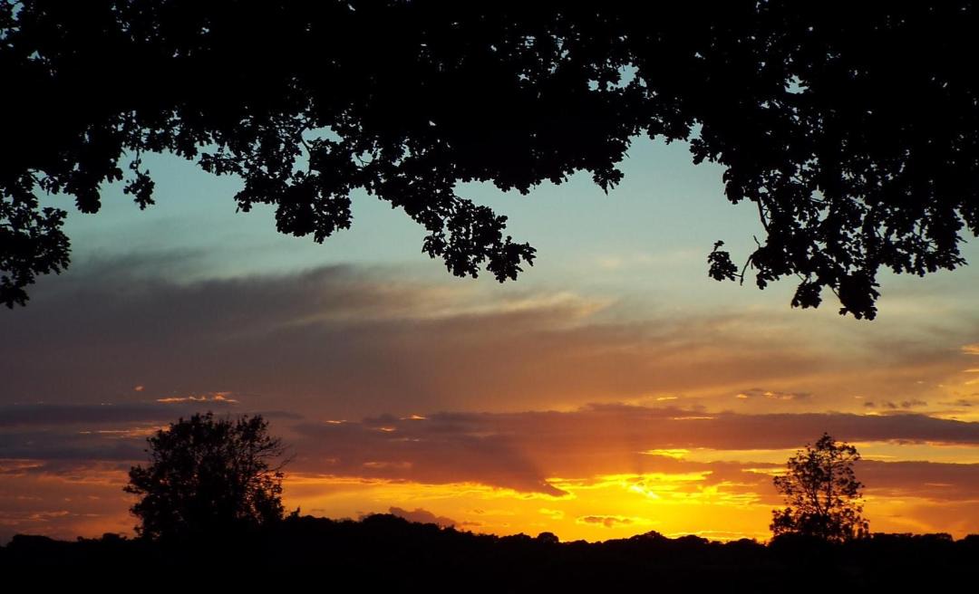 Photo of Others in East Dereham