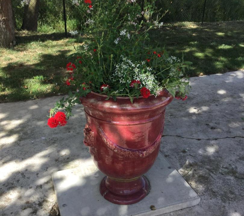 Photo of Others in East Dereham