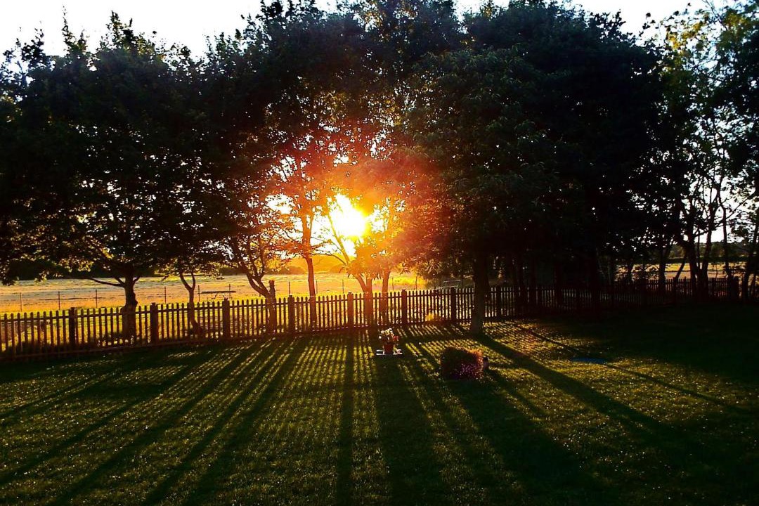 Photo of Others in East Dereham