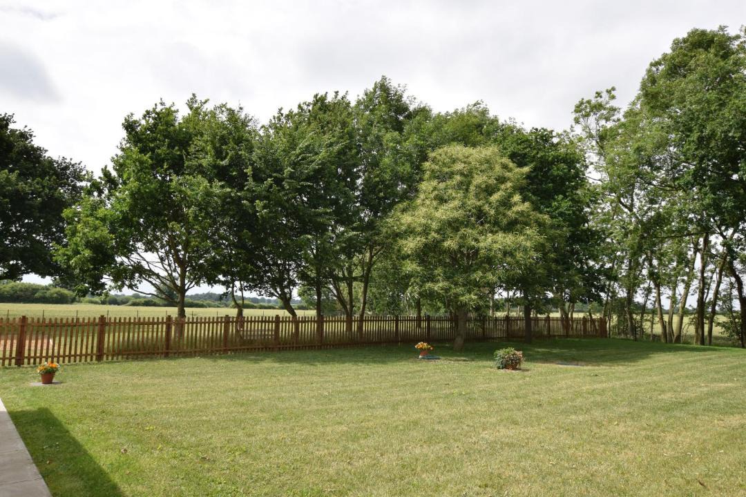 Photo of Others in East Dereham