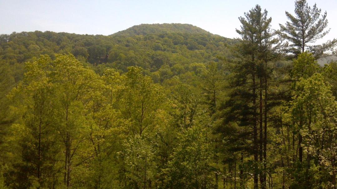 Photo of Others in Epworth