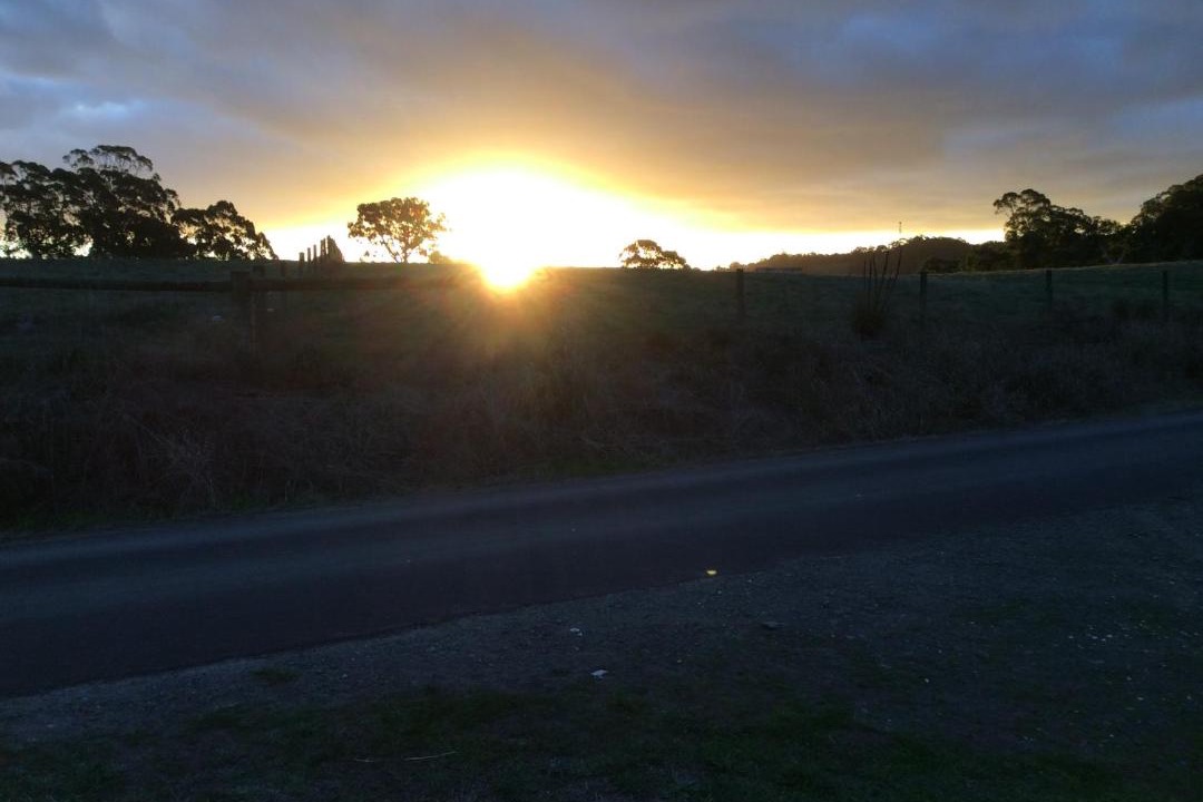 Photo of Outdoor in Forrest