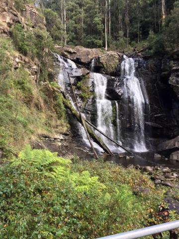 Photo of Others in Forrest