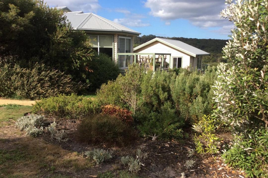 Photo of Buildings in Forrest