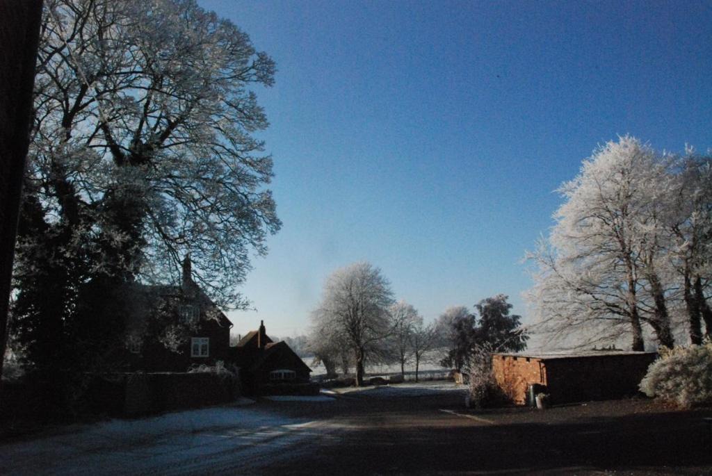 Photo of Buildings in Kenilworth