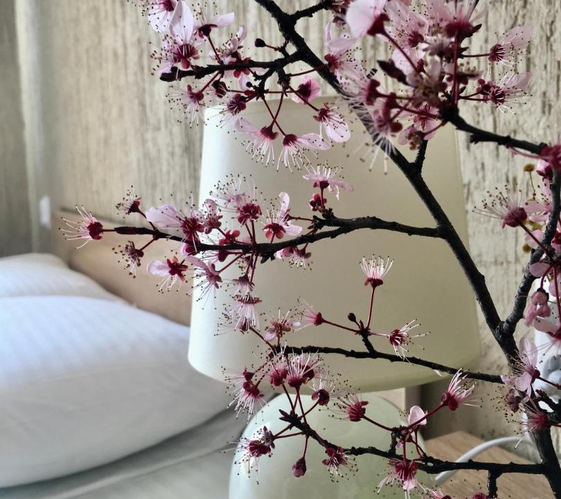 Photo of Others in Verkhne-Imeretinskaya Bukhta