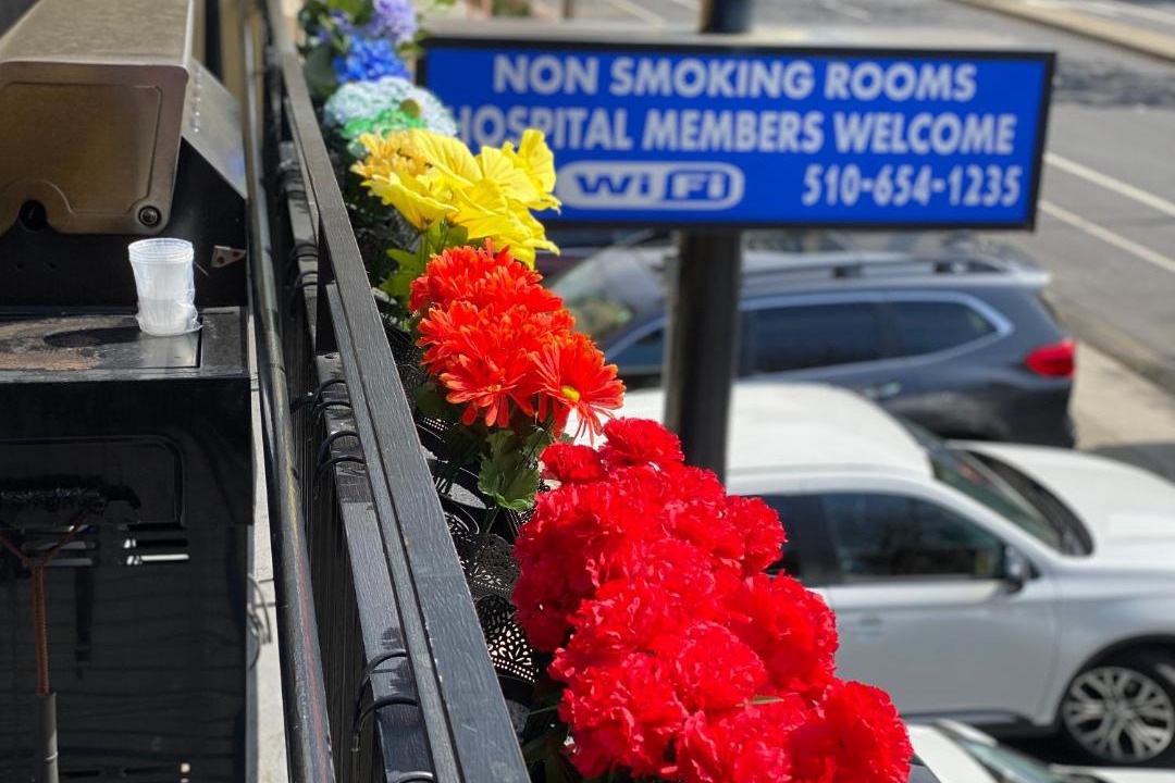 Photo of Others in Mosswood