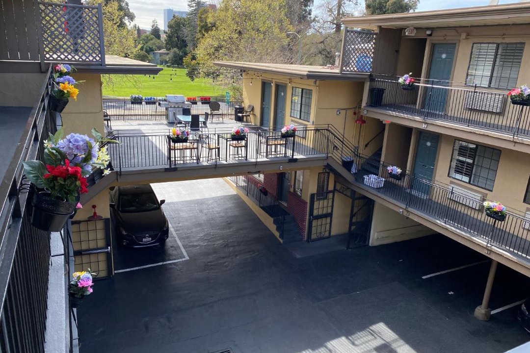 Photo of Others in Mosswood