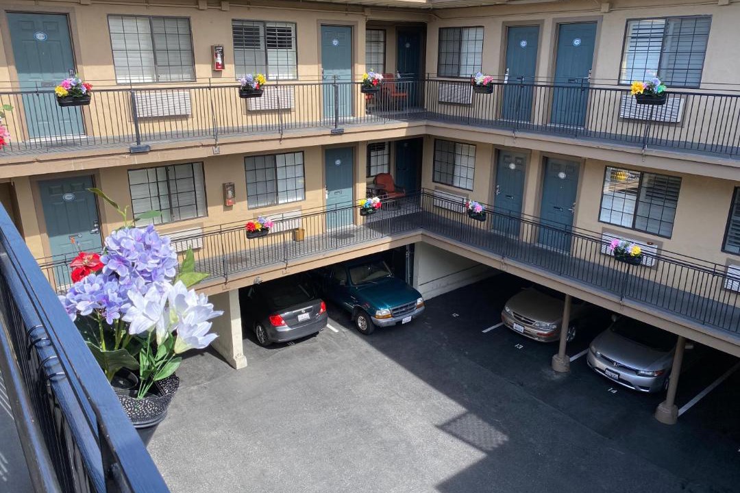 Photo of Others in Mosswood