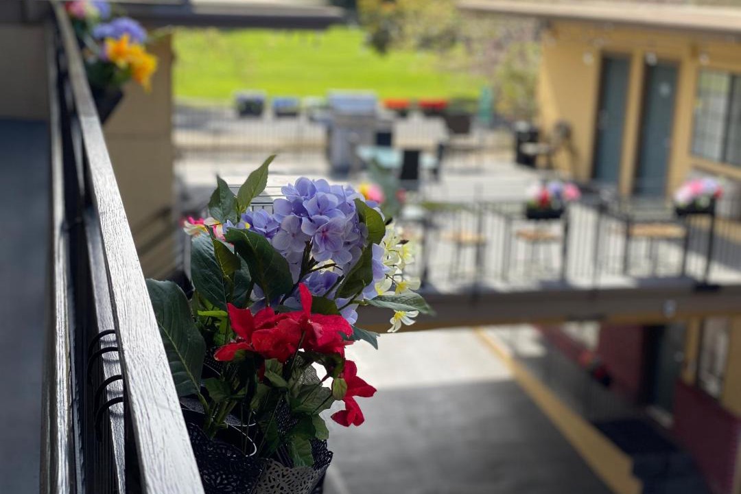 Photo of Others in Mosswood