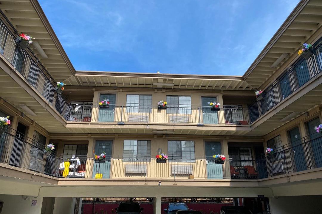 Photo of Others in Mosswood