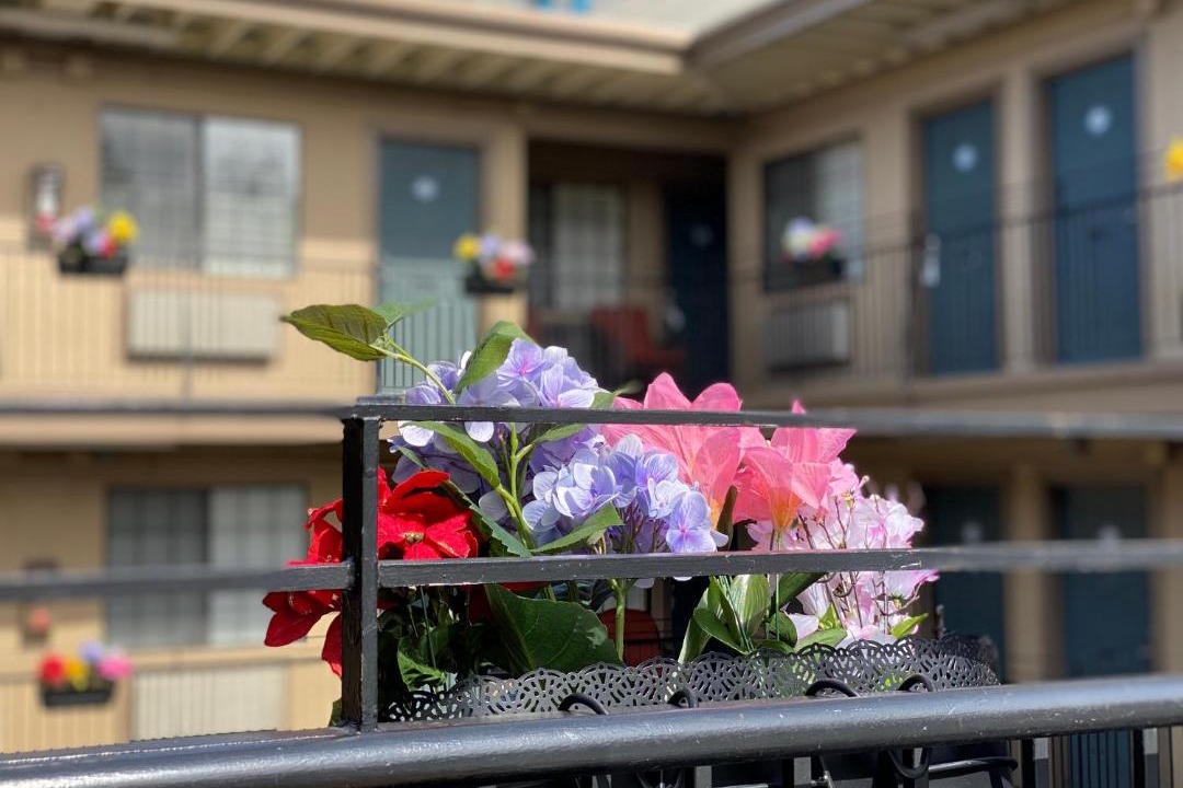 Photo of Others in Mosswood