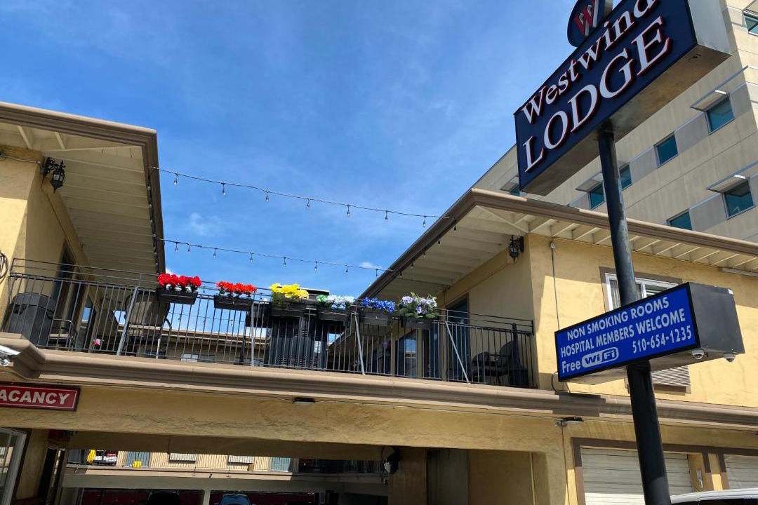 Photo of Others in Mosswood