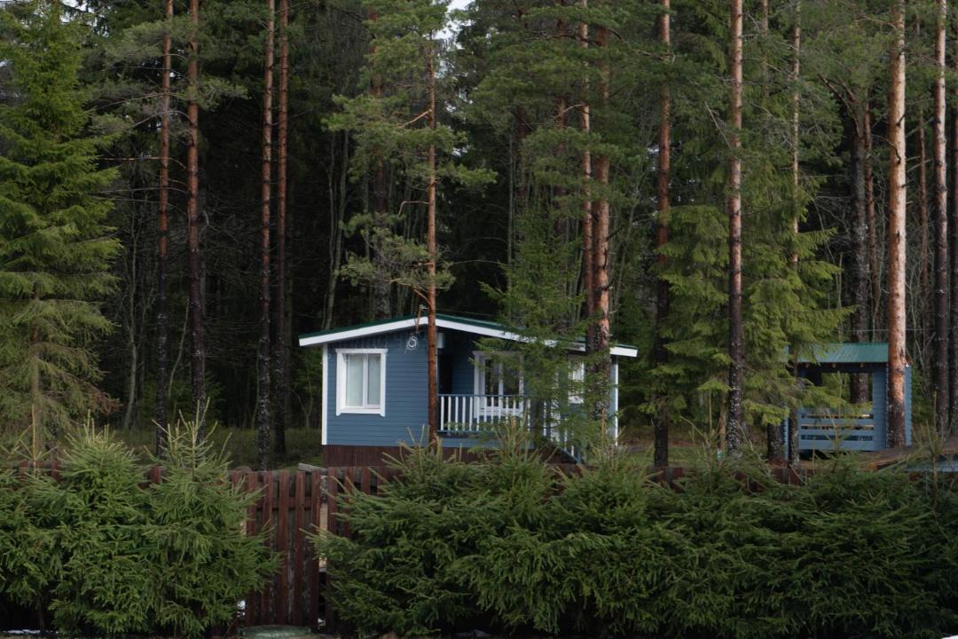 Photo of Buildings in Sosnovskoye