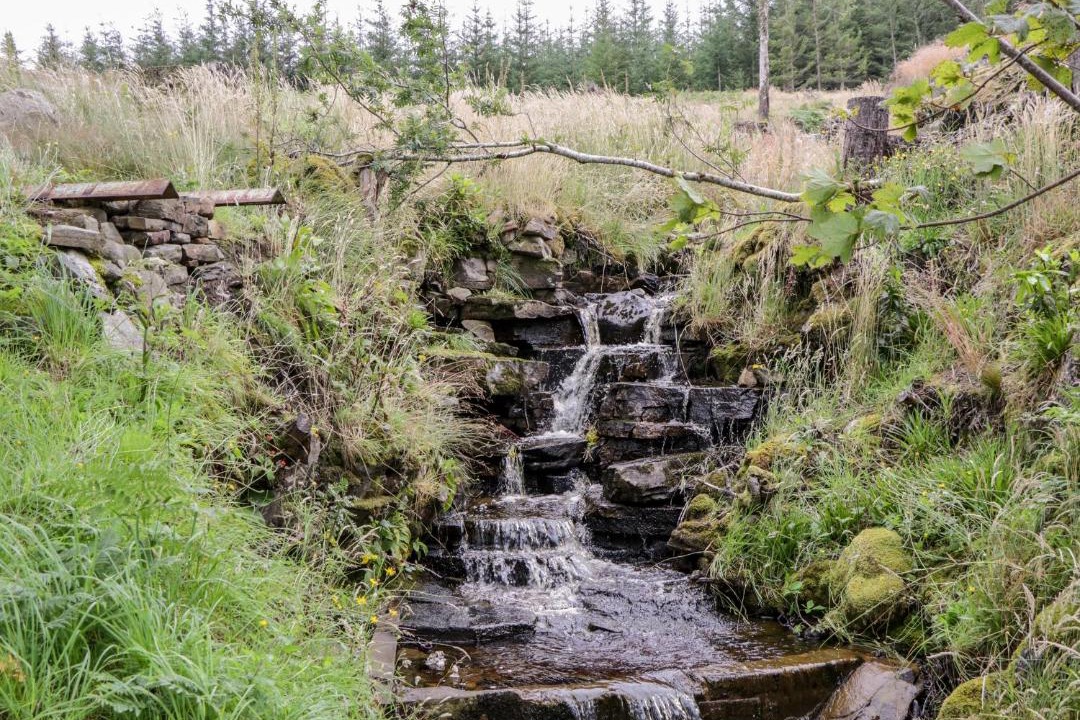 Photo of Others in Garve