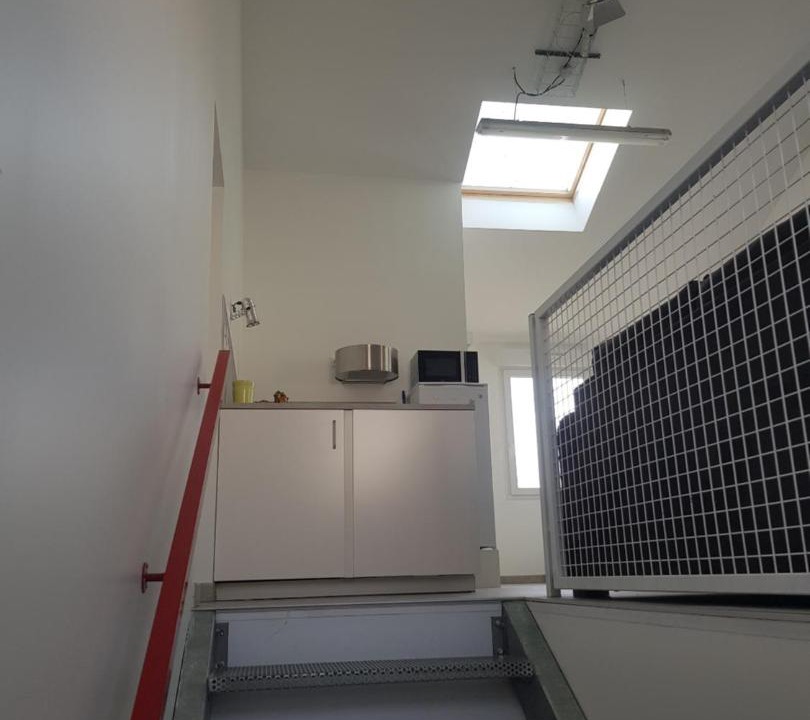 Photo of Others in Courtisols