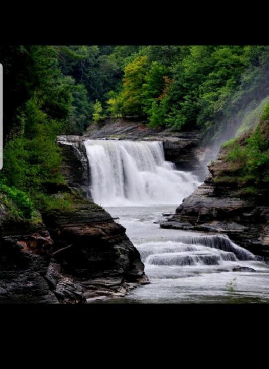 Photo of Others in Mount Morris