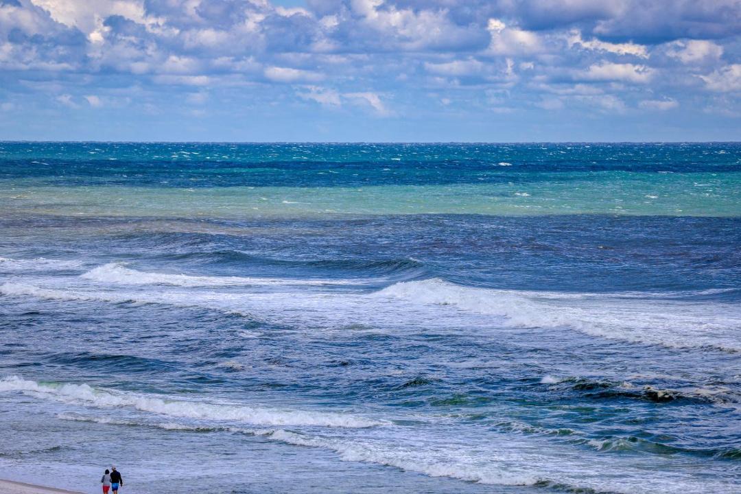 Photo of Others in West Panama City Beach