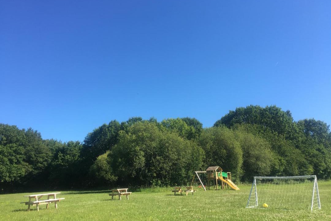 Photo of Others in Blond