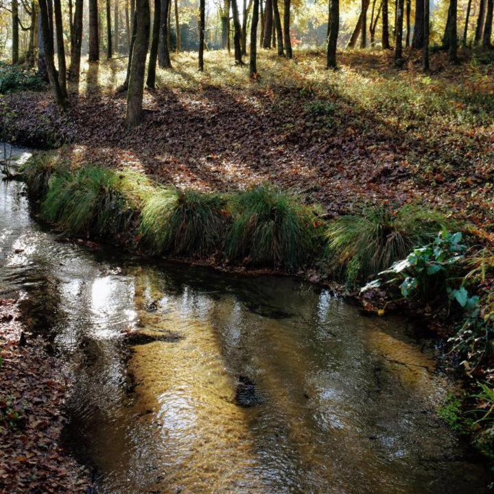 Photo of Others in Pontonx-sur-l'Adour