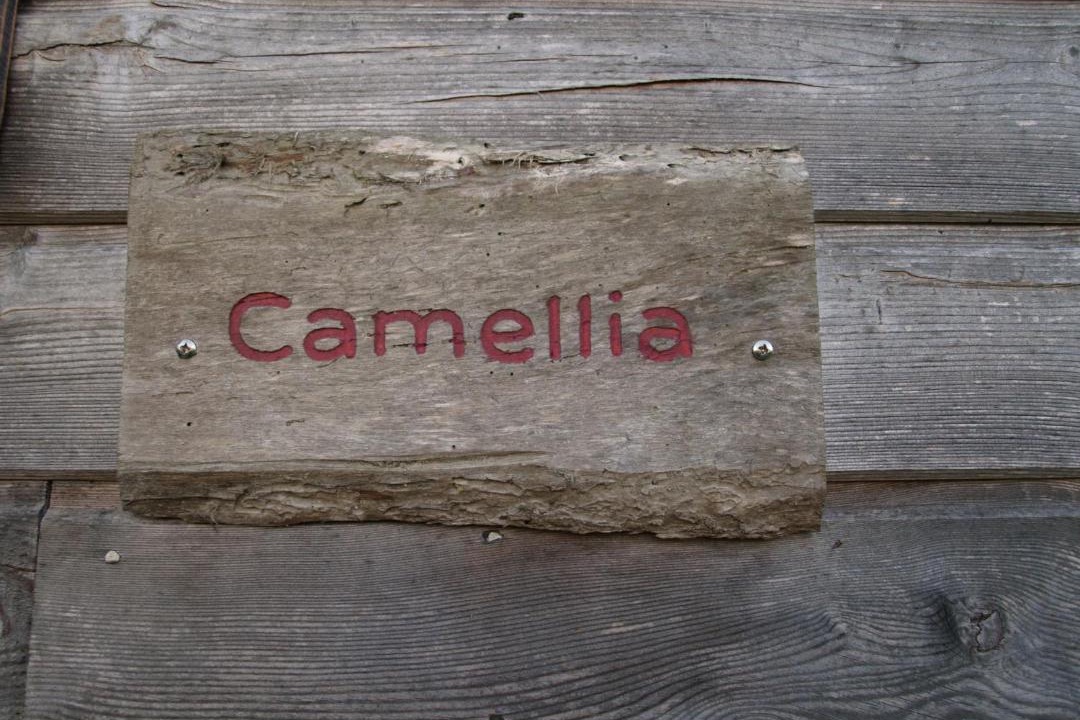 Photo of Others in Cherbonnieres