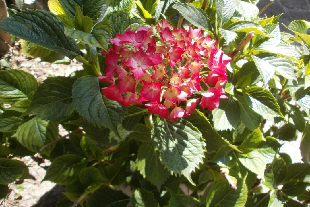 Photo of Others in Centre