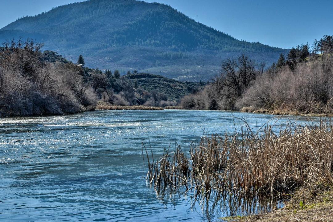 Photo of Others in Hornbrook