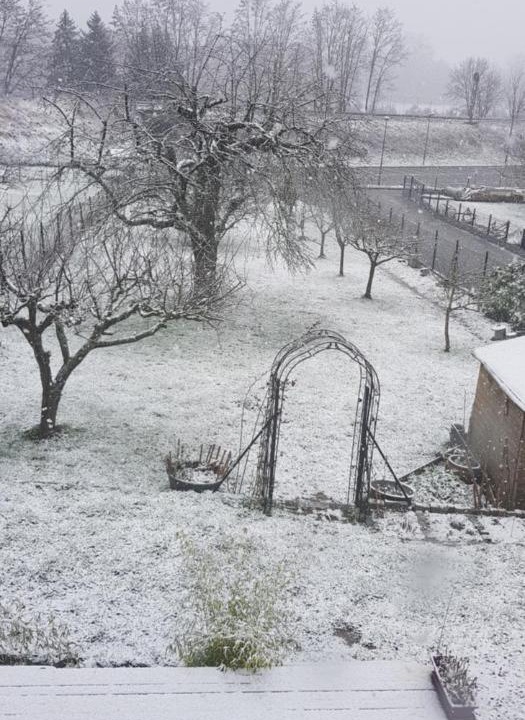 Photo of Others in Kurtzenhouse