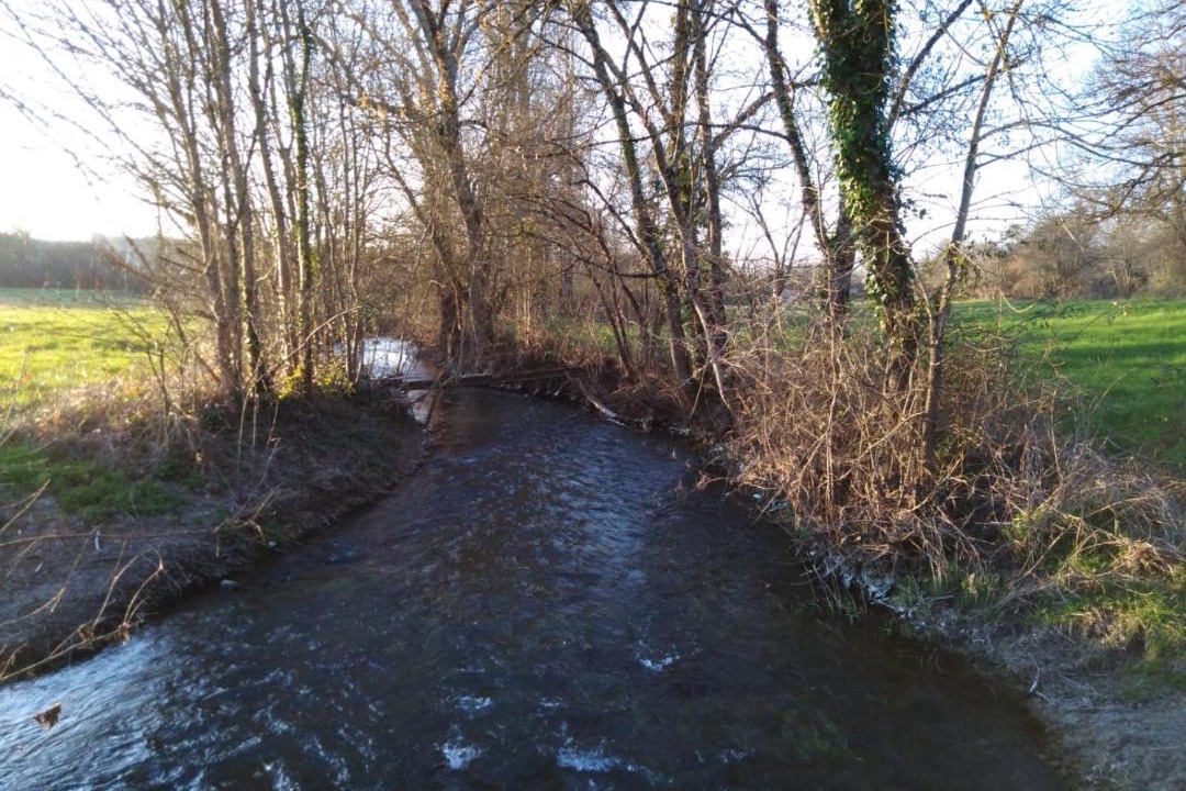 Photo of Outdoor in Pereuil