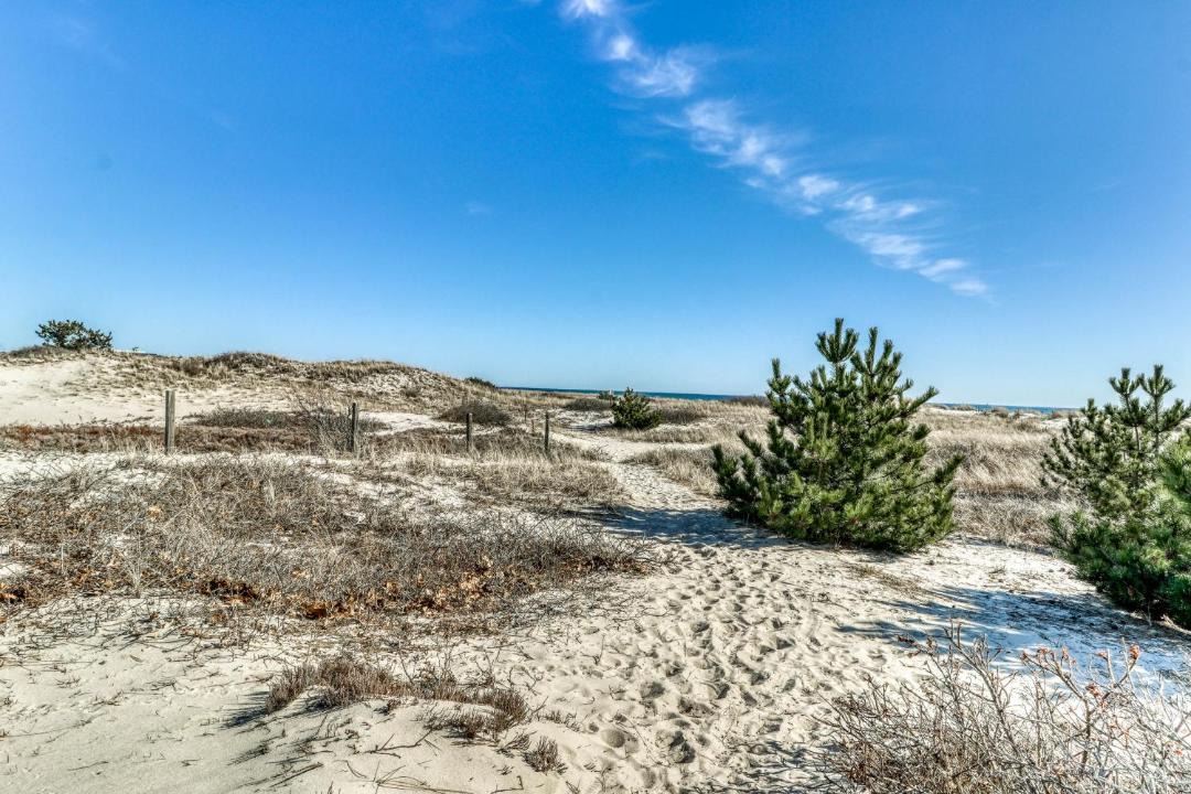 Photo of Others in Harwich Port