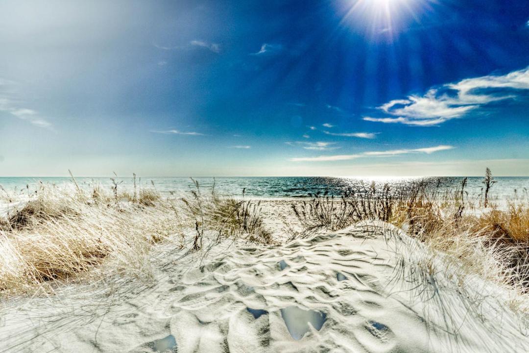 Photo of Others in Harwich Port