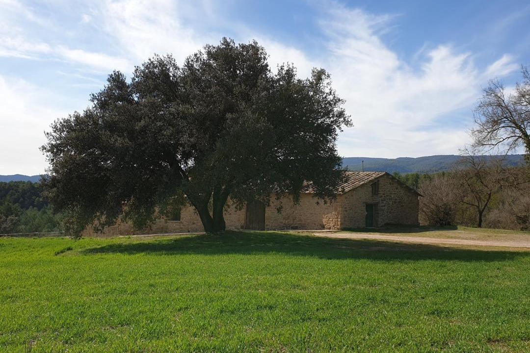 Photo of Others in La Baronia de Rialb