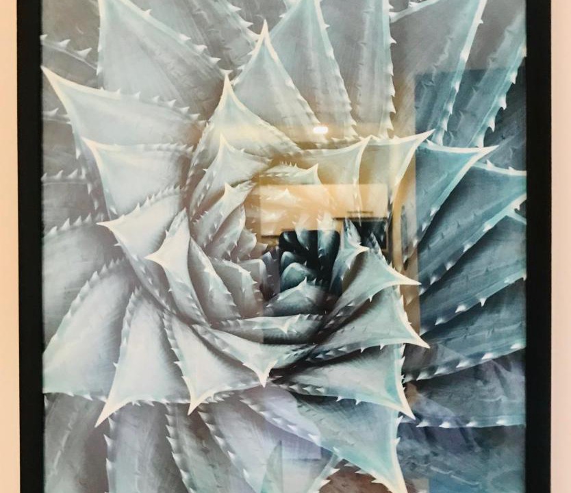 Photo of Others in Center