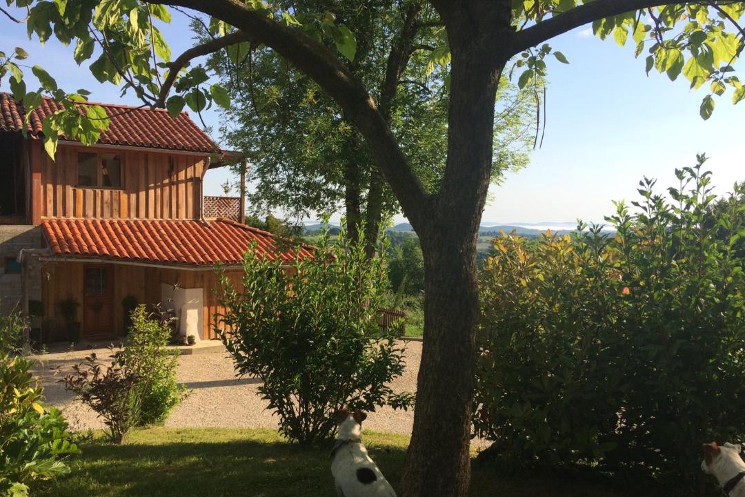 Photo of Others in Estadens